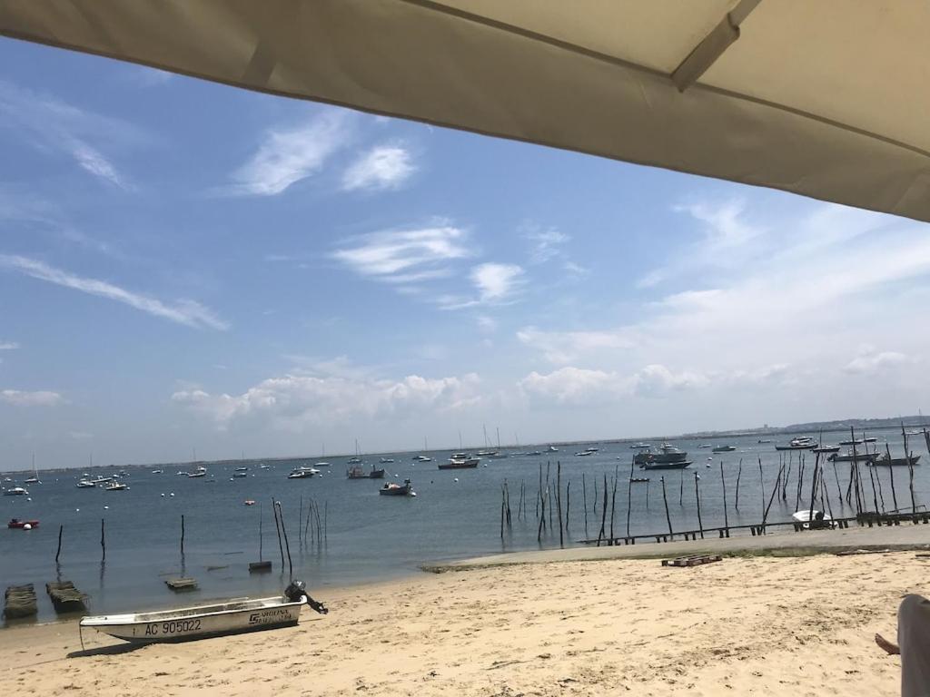 Ville Les Flots Bleus Proche Golf Arcachon La Teste-de-Buch Eksteriør billede